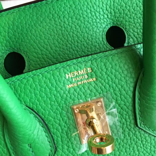 Hermes Birkin 25CM Clemence Bamboo Green Palladium Hardware Handbag DO –  Max Pawn