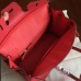 Hermes Bougainvillier Clemence Birkin 25cm Handmade Bag