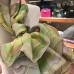 Hermes Green Della Cavalleria Shawl