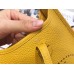 Hermes Evelyne III TPM Mini Bag In Yellow Clemence Leather