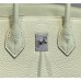 Hermes Birkin 25cm Bag In Vert Fizz Clemence Leather